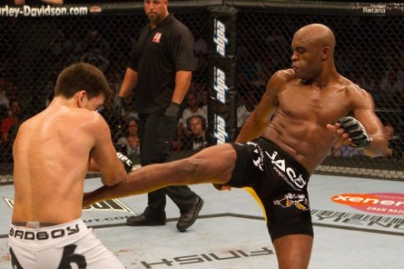 Postura de Anderson na luta contra Demian não agradou ao público de Abu Dhabi. Foto: Divulgação/UFC