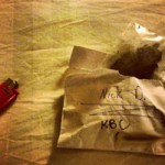 Drogas, confusões e sucesso: conheça Nick Diaz, o polêmico rival de Anderson Silva