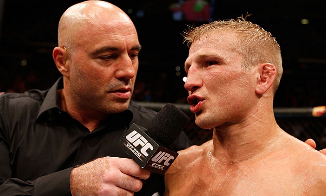 TJ (dir.) já defendeu o cinturão dos galos duas vezes. Foto: Josh Hedges/UFC