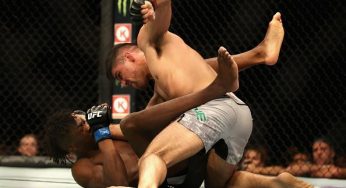 UFC 229: Vicente Luque and Jussier Formiga secure Brazilian victories on preliminary card
