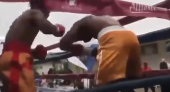 IMAGEM FORTE: Lutador morre após ser brutalmente nocauteado em confronto de boxe