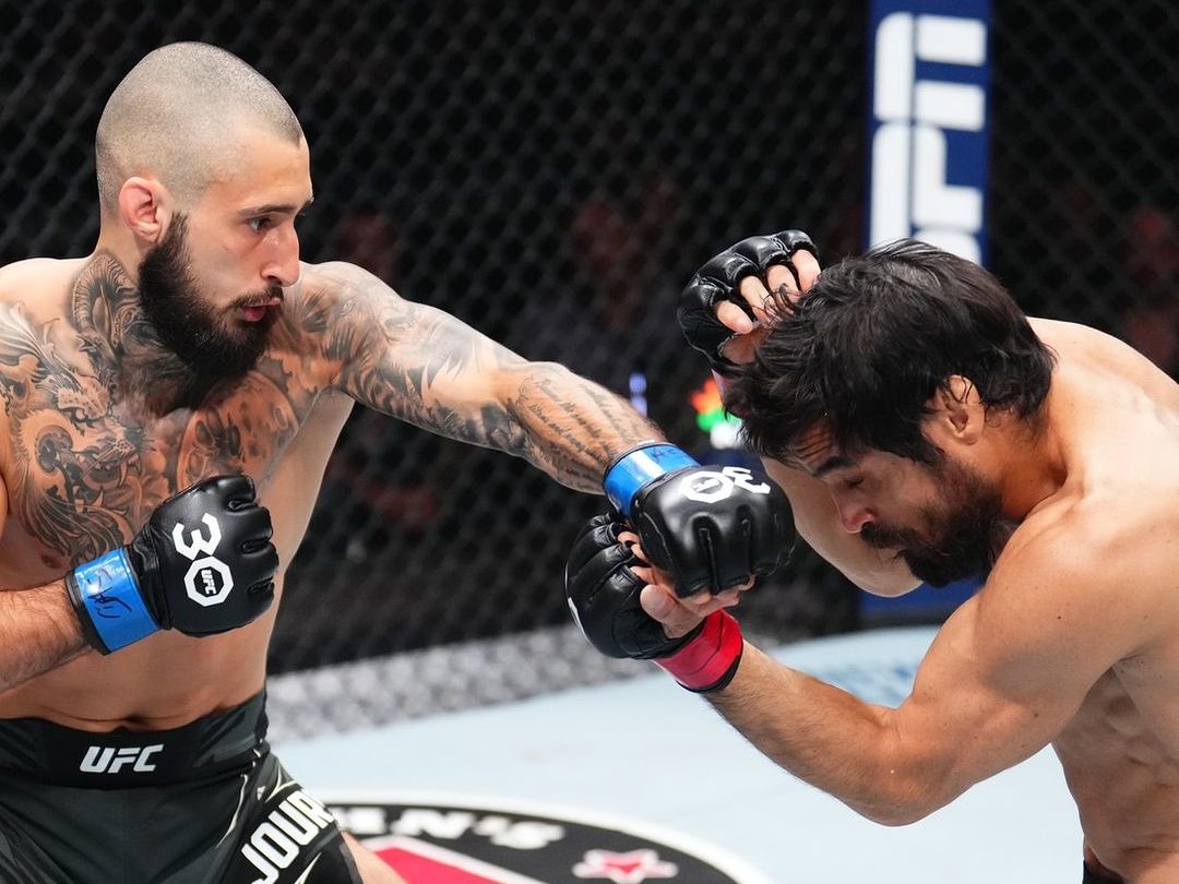 Retrospecto da família Gracie no UFC SUPER LUTAS